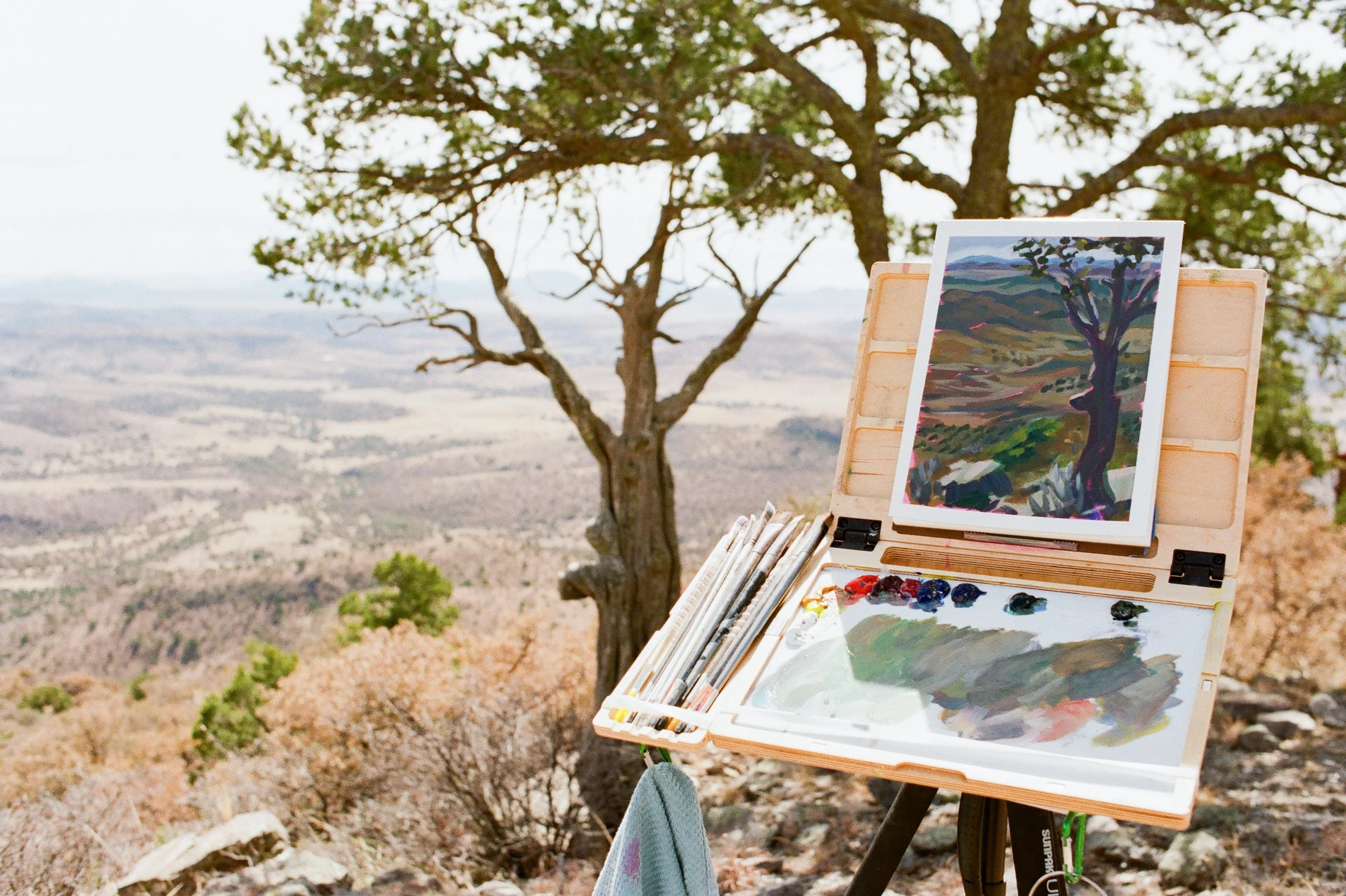 Texas Painting Retreat | Discover Your Creativity — Not Sorry Art
